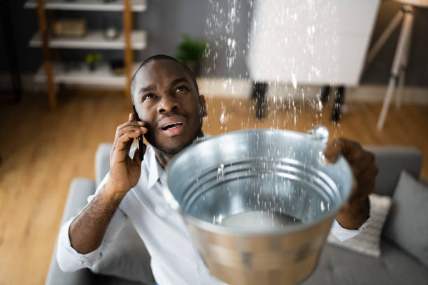 Best Sewage cleanup and water damage restoration  in Greenwood, LA