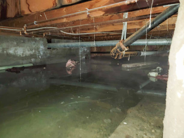 Best Residential water damage restoration  in Greenwood, LA