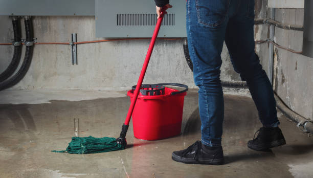 Best Sewage cleanup and water damage restoration  in Greenwood, LA