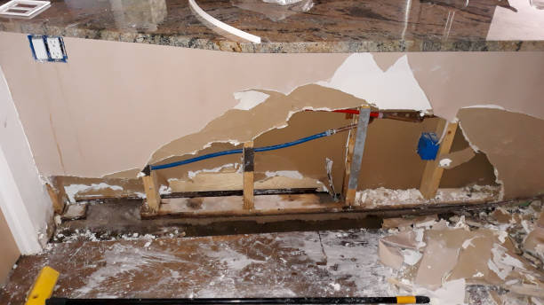 Best Flood damage cleanup  in Greenwood, LA