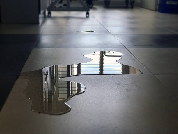 Best Water damage restoration company  in Greenwood, LA