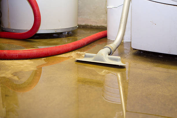 Professional Water damage restoration in Greenwood, LA