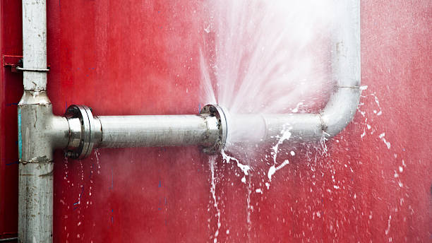 Best Water damage repair service  in Greenwood, LA